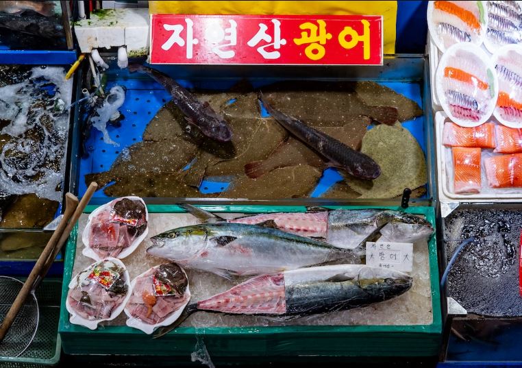 167.5cm42kg・浦西ひかるさん、韓国で緊急搬送…