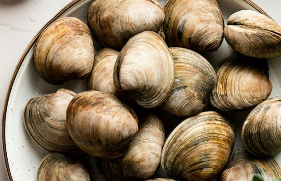 ベトナム人がハマグリ乱獲 → 勤務先「飯岡屋水産」がコメント「勤務時間外の個人行為。当社とは一切関係ありません。本人には指導します」→ 反応「それだけ？」
