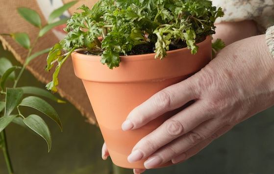 「私生活のモヤモヤを解消するため…」集合住宅の6階から植木鉢を投下した韓国籍の女(66)を逮捕